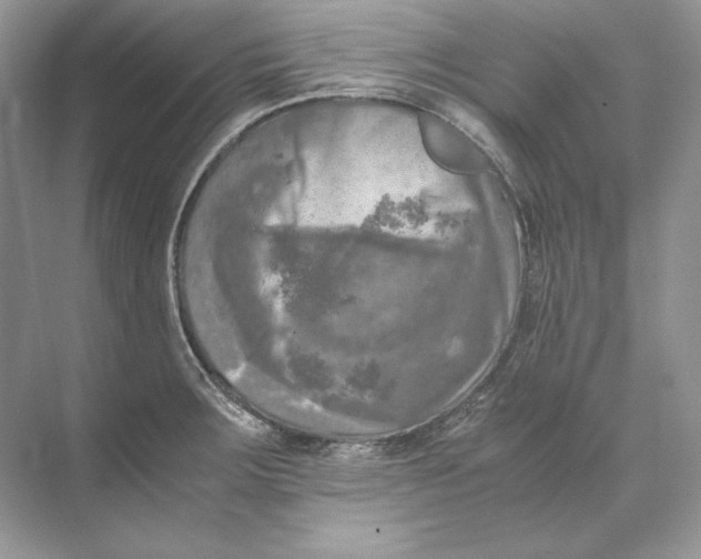 X0000071761283200607220000