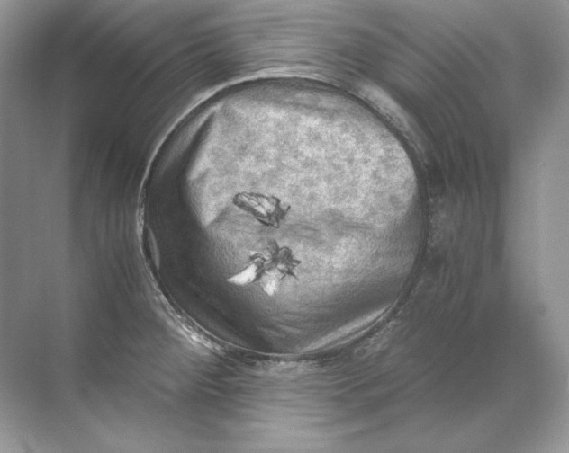 X0000071761284200607220000