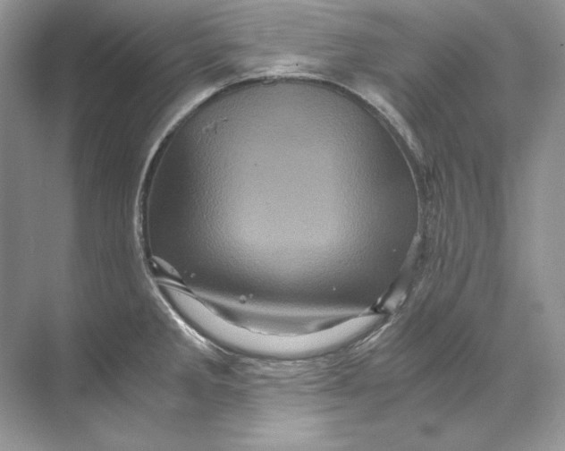 X0000071761285200607220000