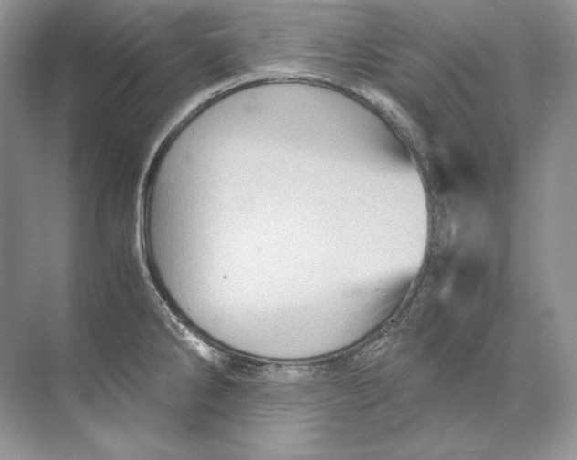 X0000071761286200607220000