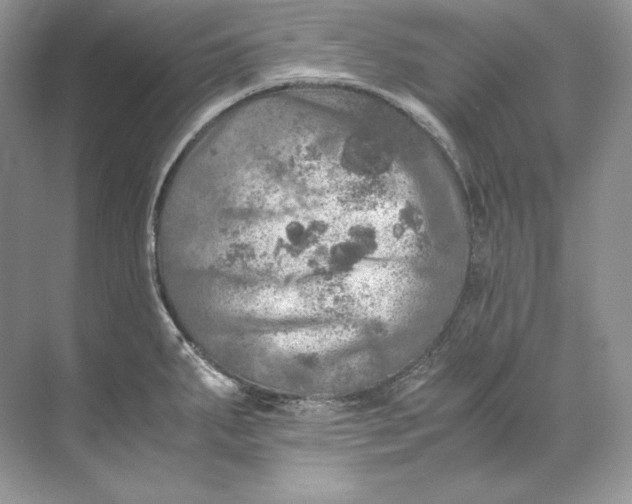 X0000071761287200607220000