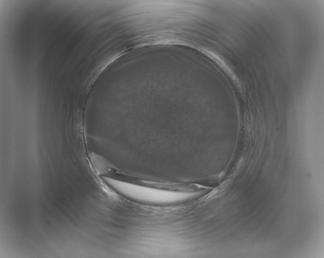 X0000071761289200607220000