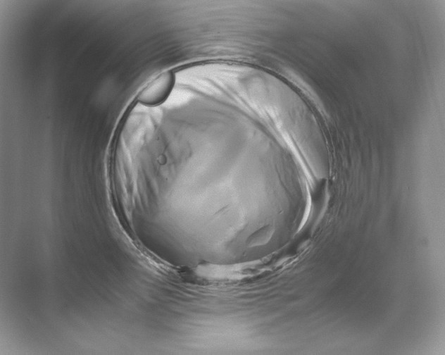 X0000071761291200607220000