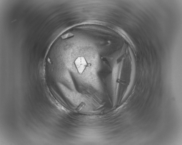 X0000071761292200607220000