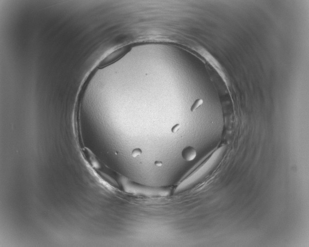 X0000071761293200607220000