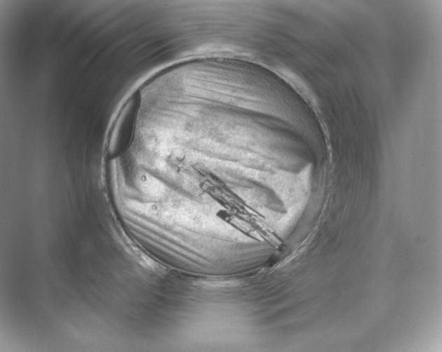 X0000071761296200607220000