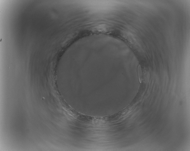 X0000071761297200607212359