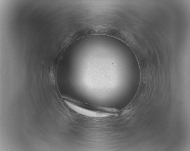 X0000071761298200607212359