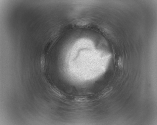 X0000071761299200607212359