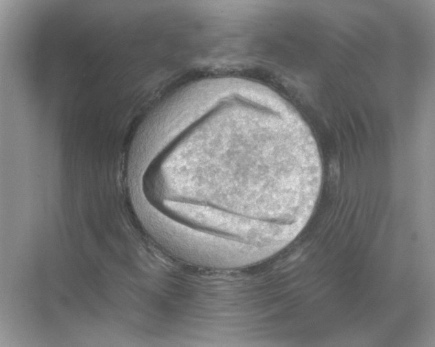 X0000071761300200607212359