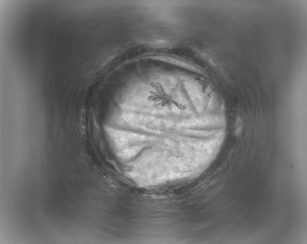 X0000071761301200607212359