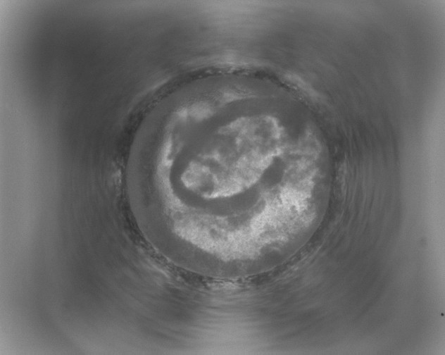 X0000071761302200607212359