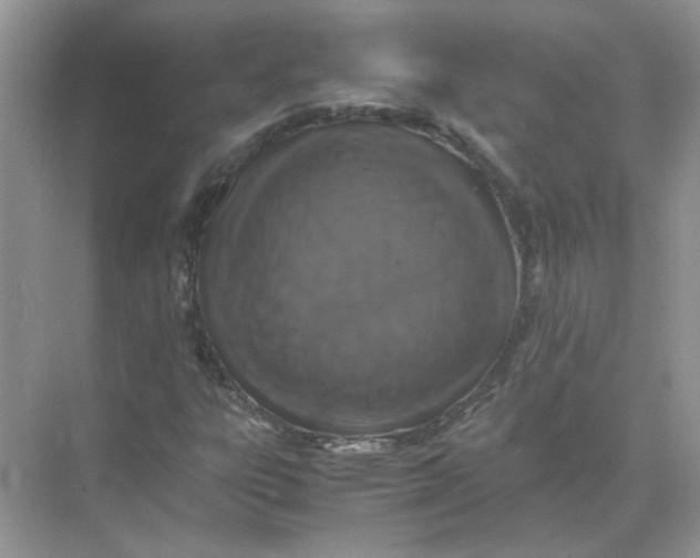 X0000071761303200607212359