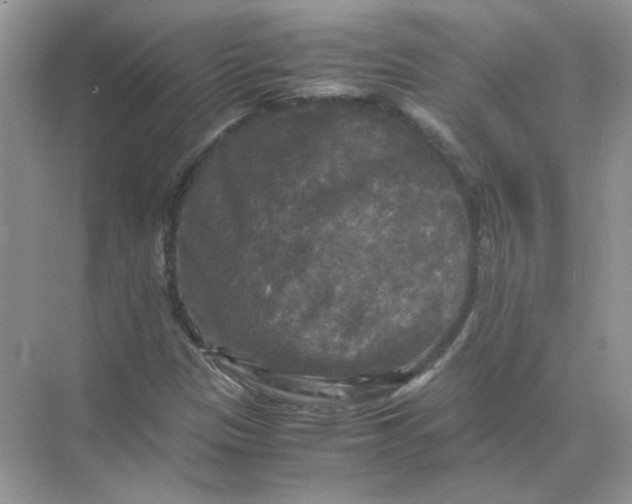 X0000071761305200607212359