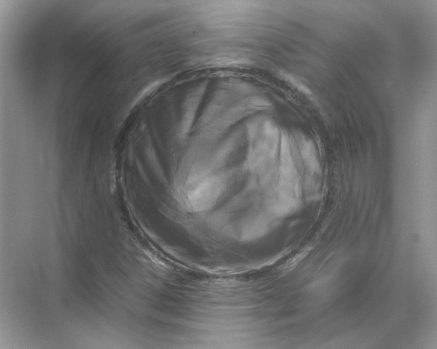 X0000071761306200607212359