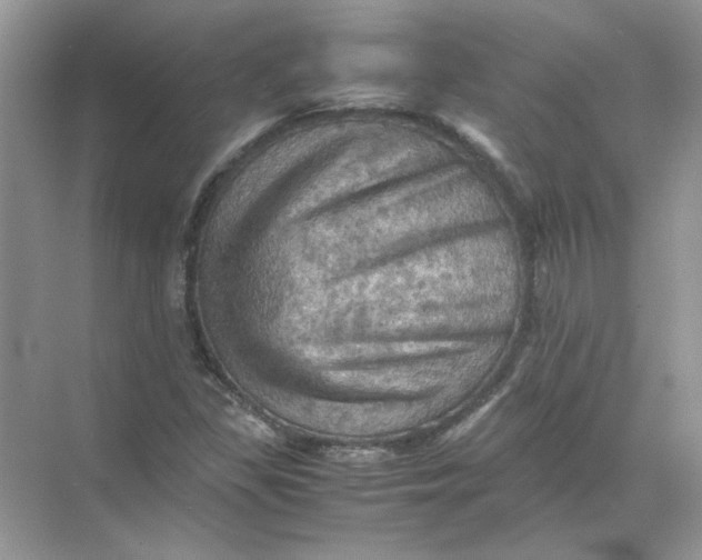 X0000071761309200607212359