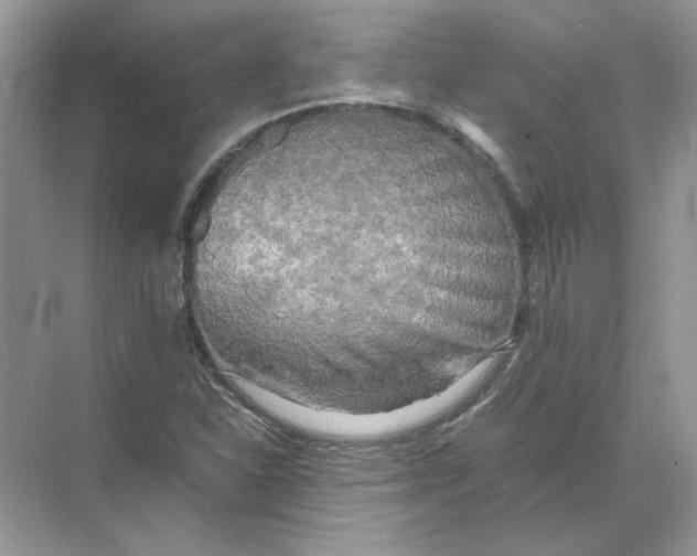 X0000071761310200607212359