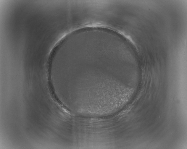 X0000071761311200607212359