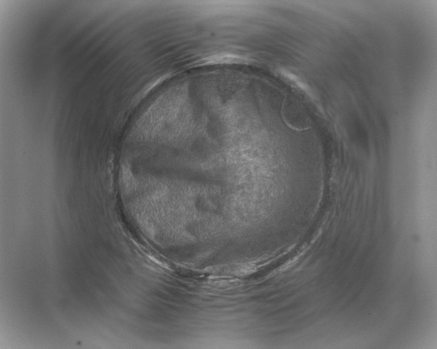 X0000071761313200607212359