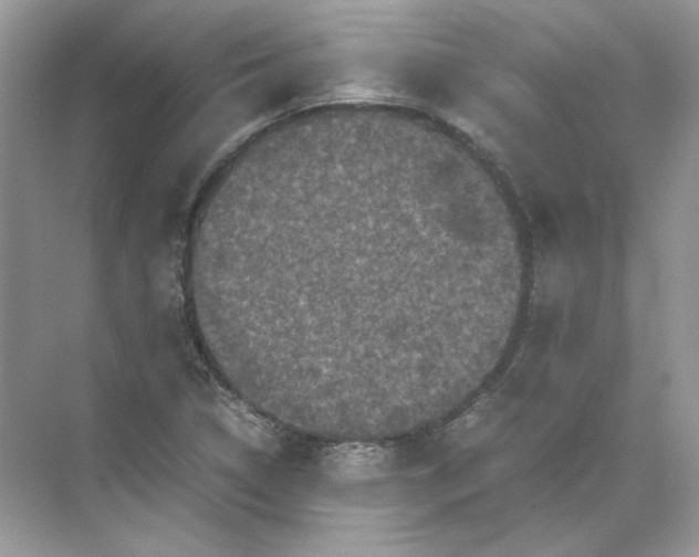 X0000071761314200607212359