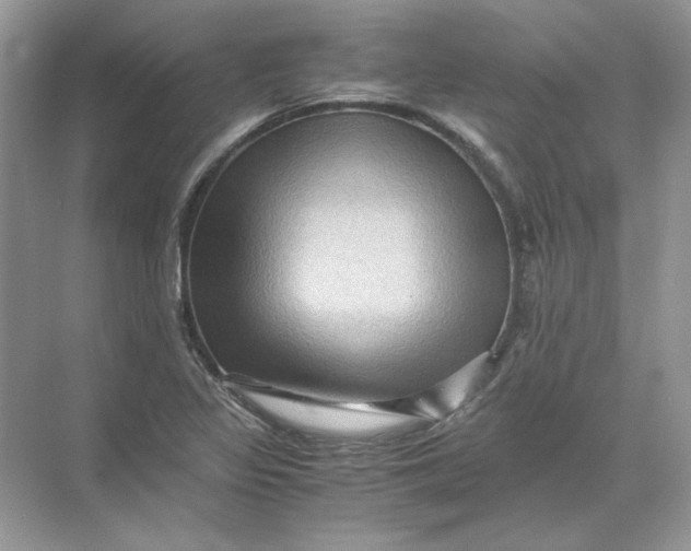 X0000071761317200607212359