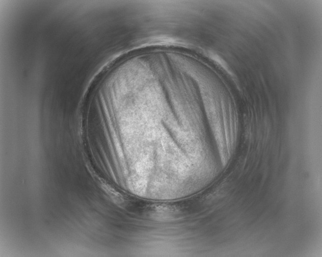 X0000071761318200607212359