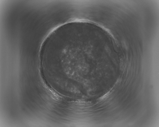 X0000071761319200607212359