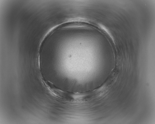 X0000071761320200607212359