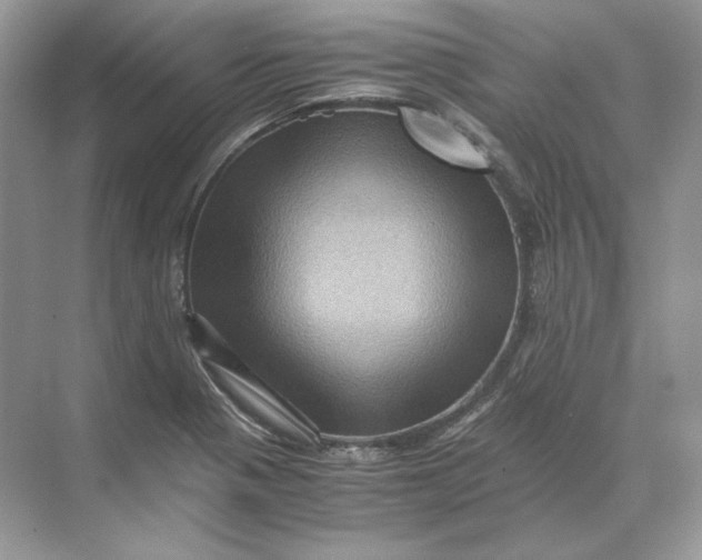 X0000071761321200607212359