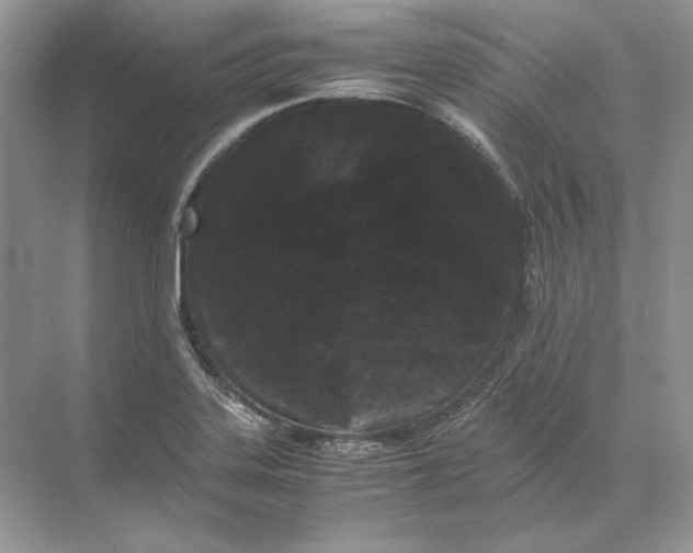 X0000071761323200607212359