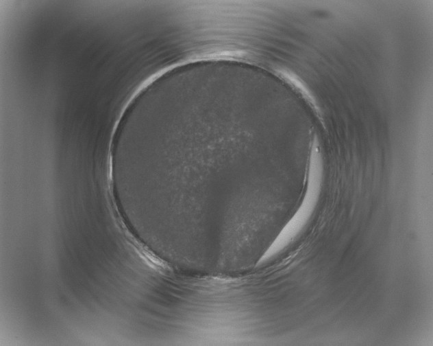 X0000071761324200607220000