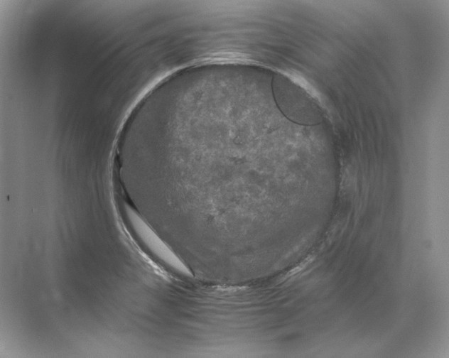 X0000071761325200607220000