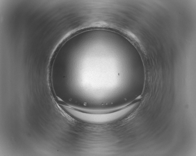 X0000071761326200607220000