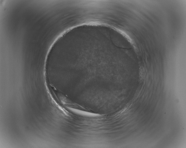 X0000071761327200607220000