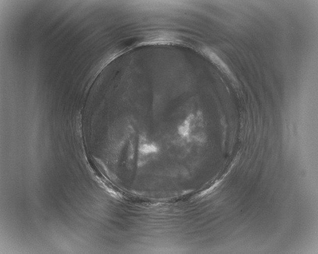 X0000071761329200607220000