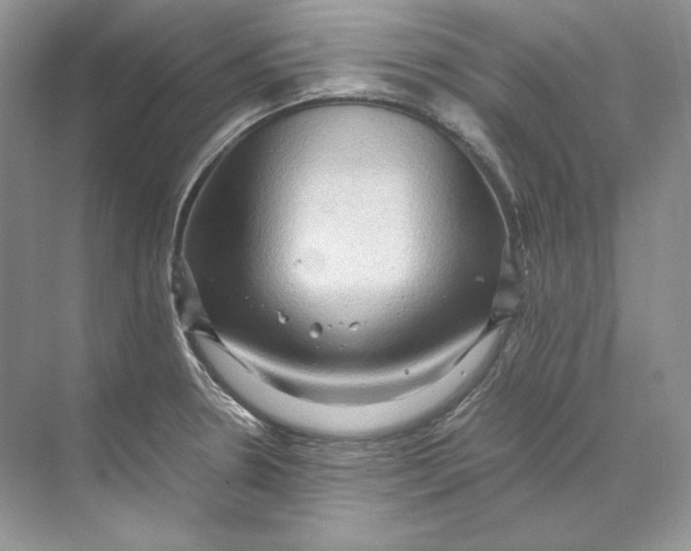 X0000071761330200607220000