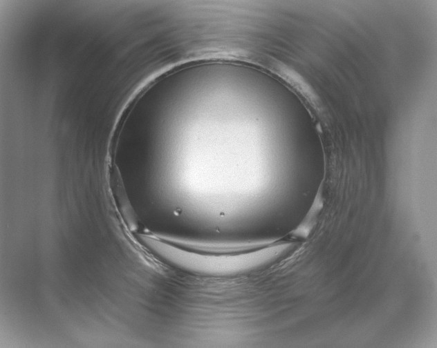 X0000071761332200607220000