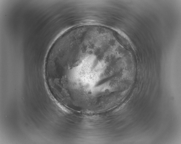 X0000071761333200607220000