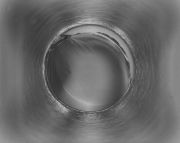 X0000071761334200607220000