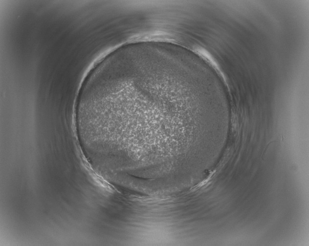 X0000071761336200607220000