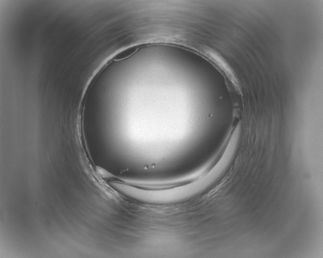 X0000071761340200607220000