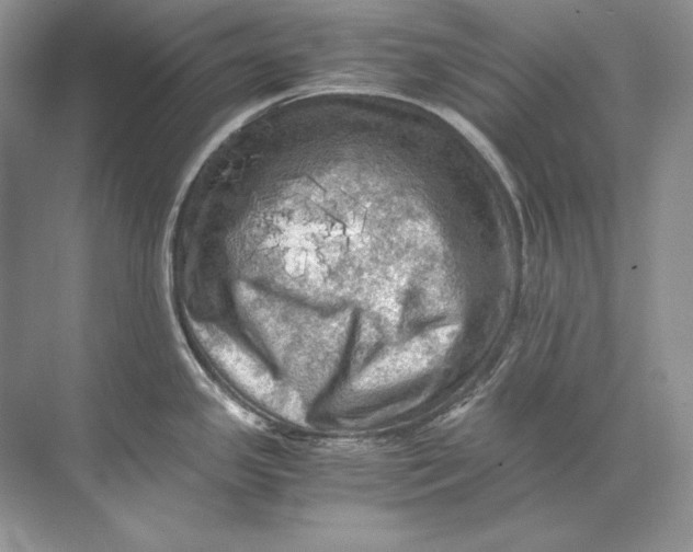 X0000071761341200607220000