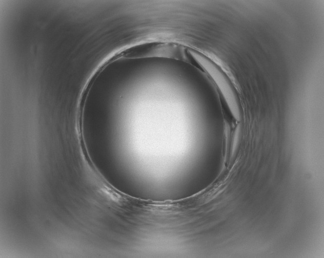 X0000071761342200607220000