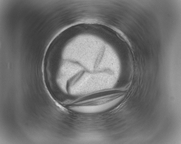 X0000071761343200607220000