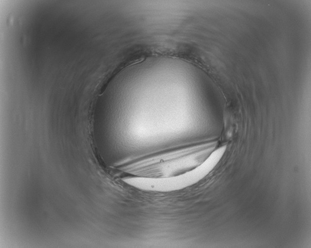 X0000071761345200607212359