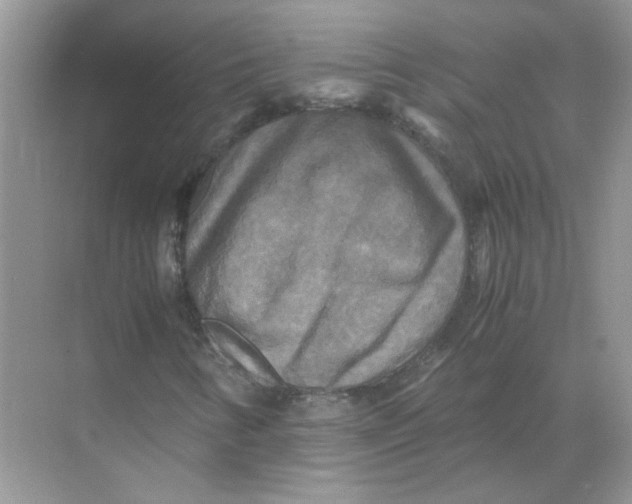 X0000071761346200607212359