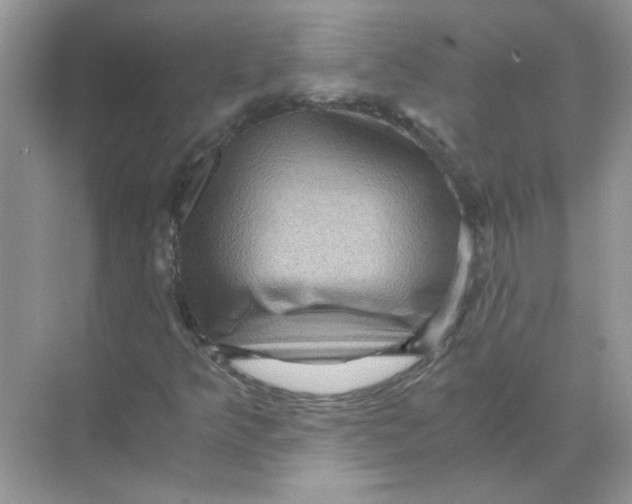 X0000071761349200607212359