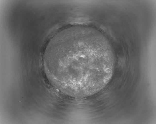 X0000071761350200607212359