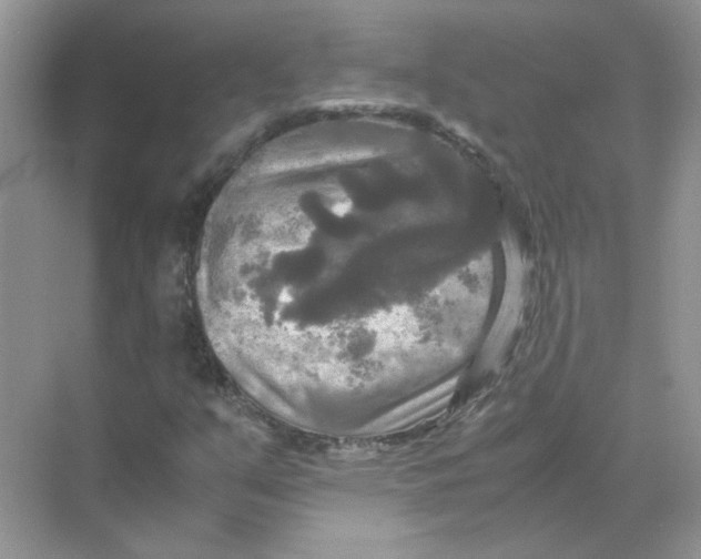 X0000071761351200607212359