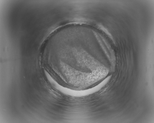 X0000071761352200607212359